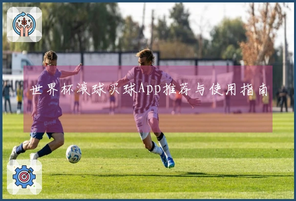 世界杯滚球买球App推荐与使用指南