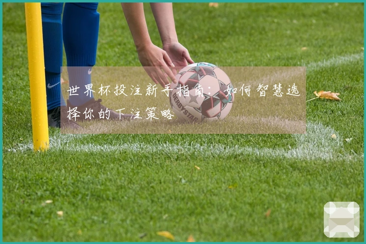 世界杯投注新手指南：如何智慧选择你的下注策略