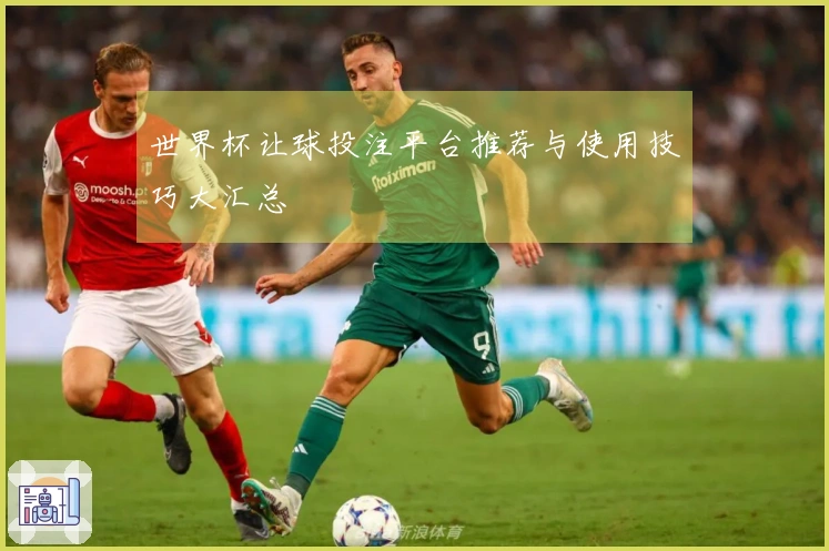世界杯让球投注平台推荐与使用技巧大汇总