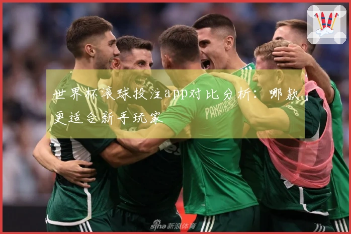 世界杯滚球投注app对比分析：哪款更适合新手玩家