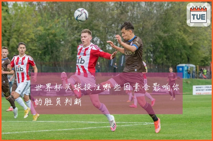 世界杯买球投注哪些因素会影响你的胜负判断