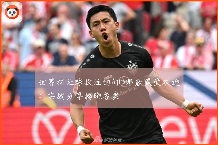 世界杯让球投注的App哪款最受欢迎？实战分享揭晓答案