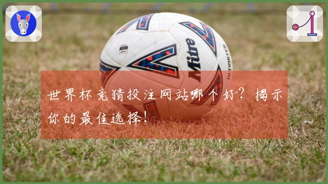 世界杯竞猜投注网站哪个好？揭示你的最佳选择！