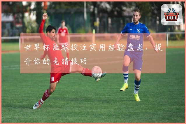 世界杯让球投注实用经验盘点，提升你的竞猜技巧